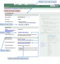 google adwords: gestione campagna – parametri campagna