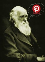 darwin